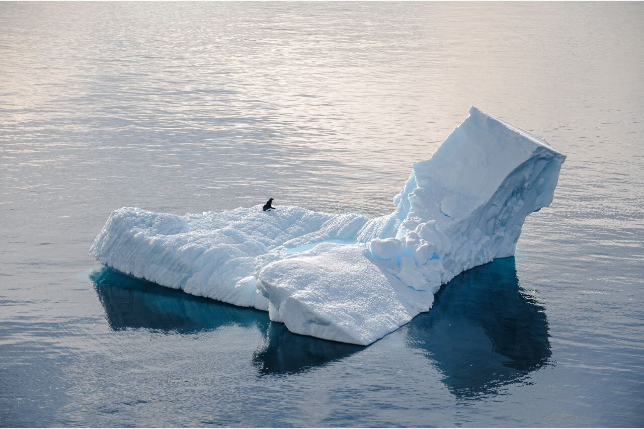 Você conhece o iceberg da cultura organizacional?